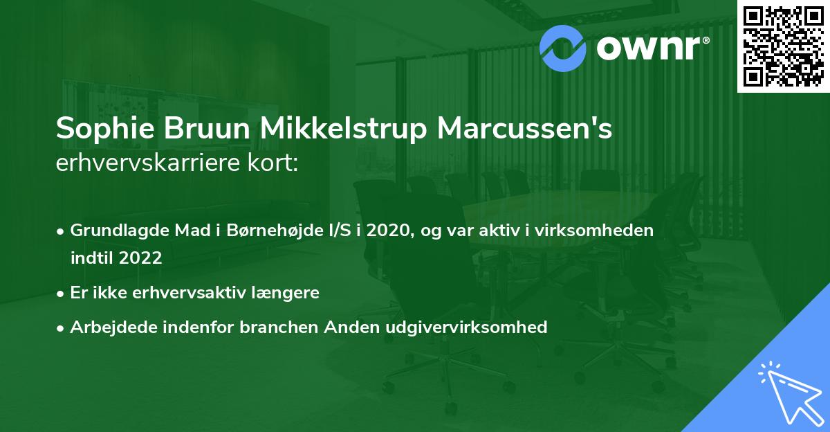 Sophie Bruun Mikkelstrup Marcussen's erhvervskarriere kort