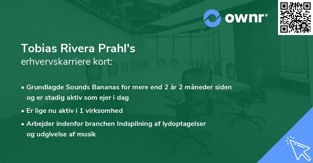 Tobias Rivera Prahl's erhvervskarriere kort