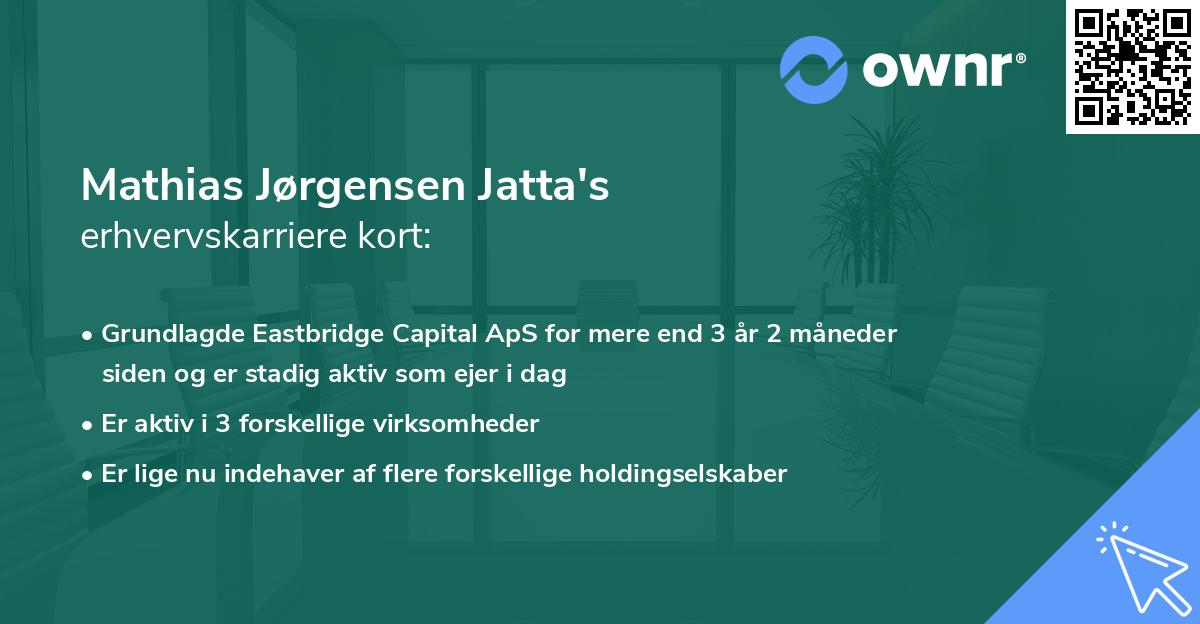 Mathias Jørgensen Jatta's erhvervskarriere kort