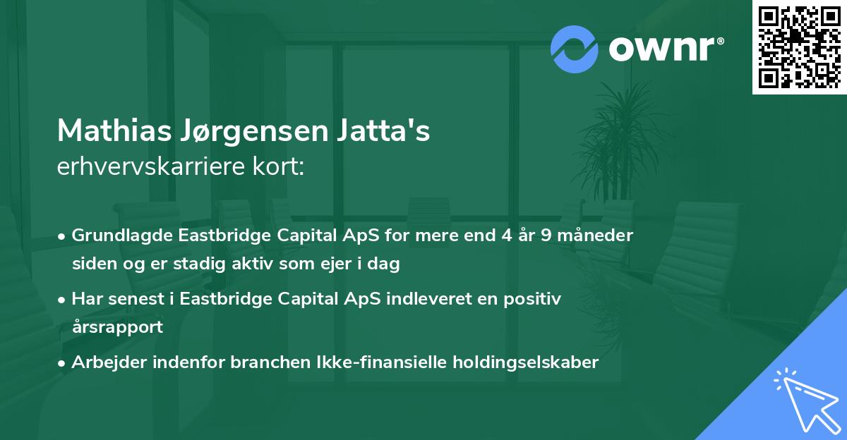 Mathias Jørgensen Jatta's erhvervskarriere kort