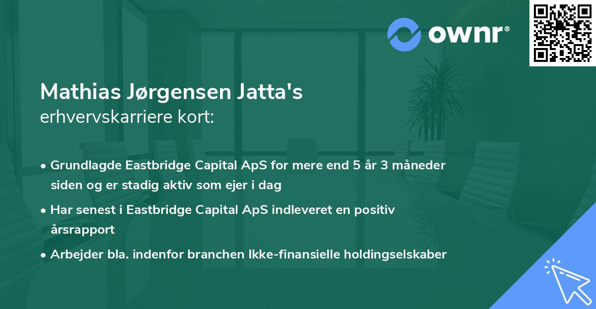Mathias Jørgensen Jatta's erhvervskarriere kort