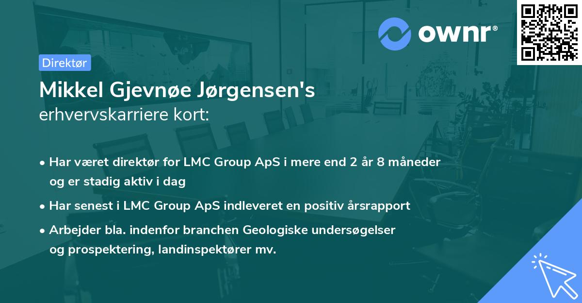 Mikkel Gjevnøe Jørgensen's erhvervskarriere kort
