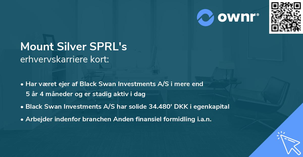 Mount Silver SPRL's erhvervskarriere kort