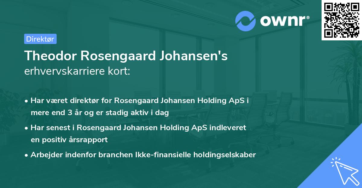 Theodor Rosengaard Johansen's erhvervskarriere kort