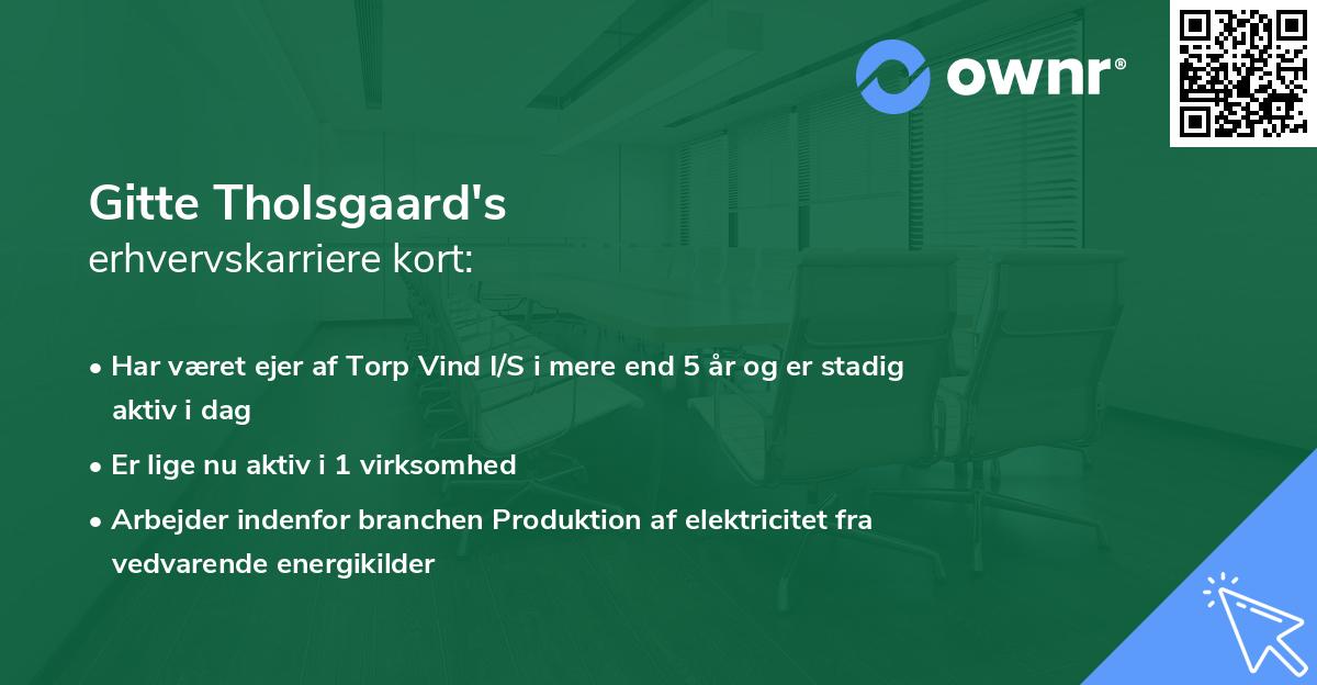 Gitte Tholsgaard's erhvervskarriere kort