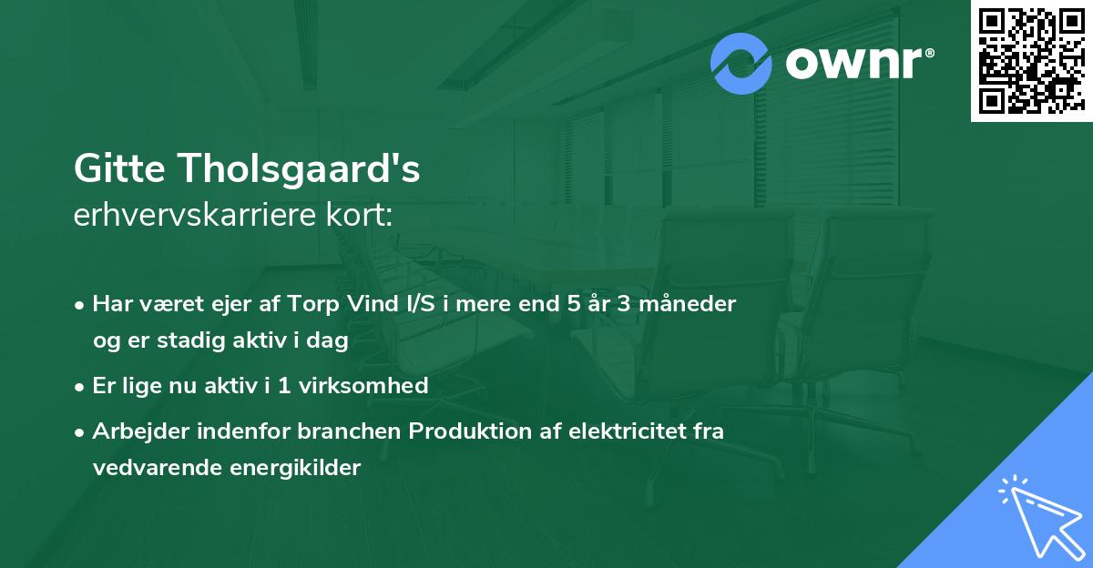 Gitte Tholsgaard's erhvervskarriere kort
