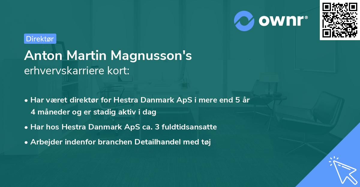 Anton Martin Magnusson's erhvervskarriere kort