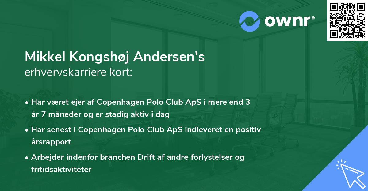 Mikkel Kongshøj Andersen's erhvervskarriere kort