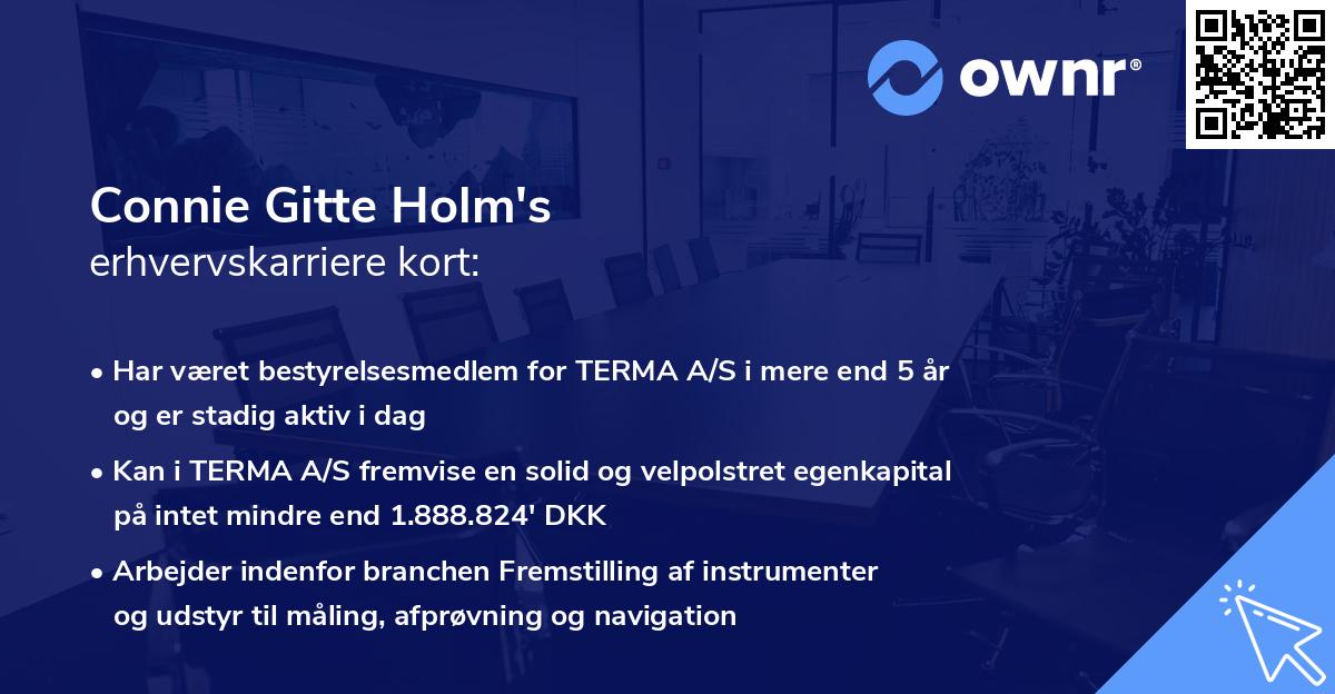 Connie Gitte Holm's erhvervskarriere kort