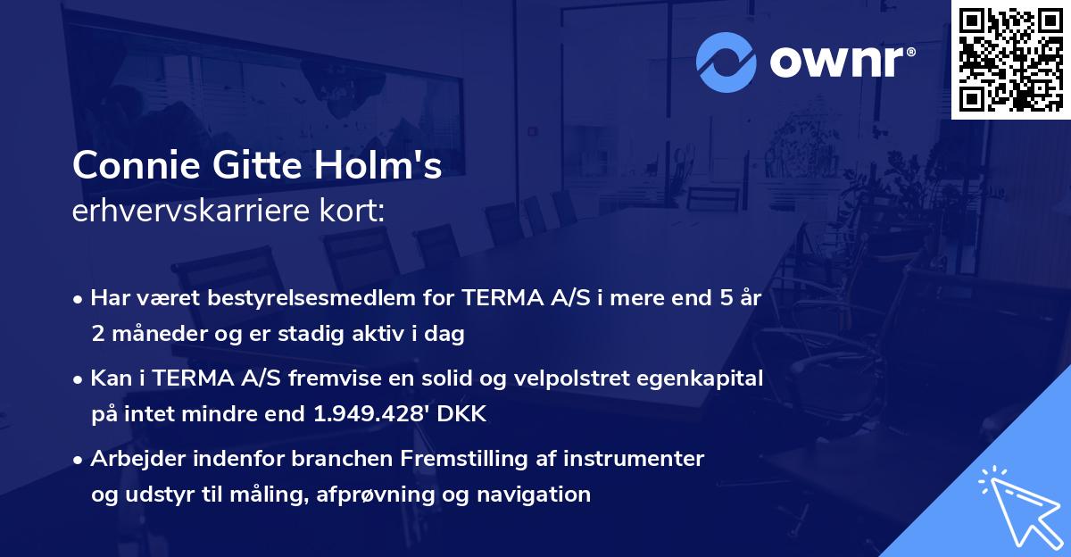 Connie Gitte Holm's erhvervskarriere kort