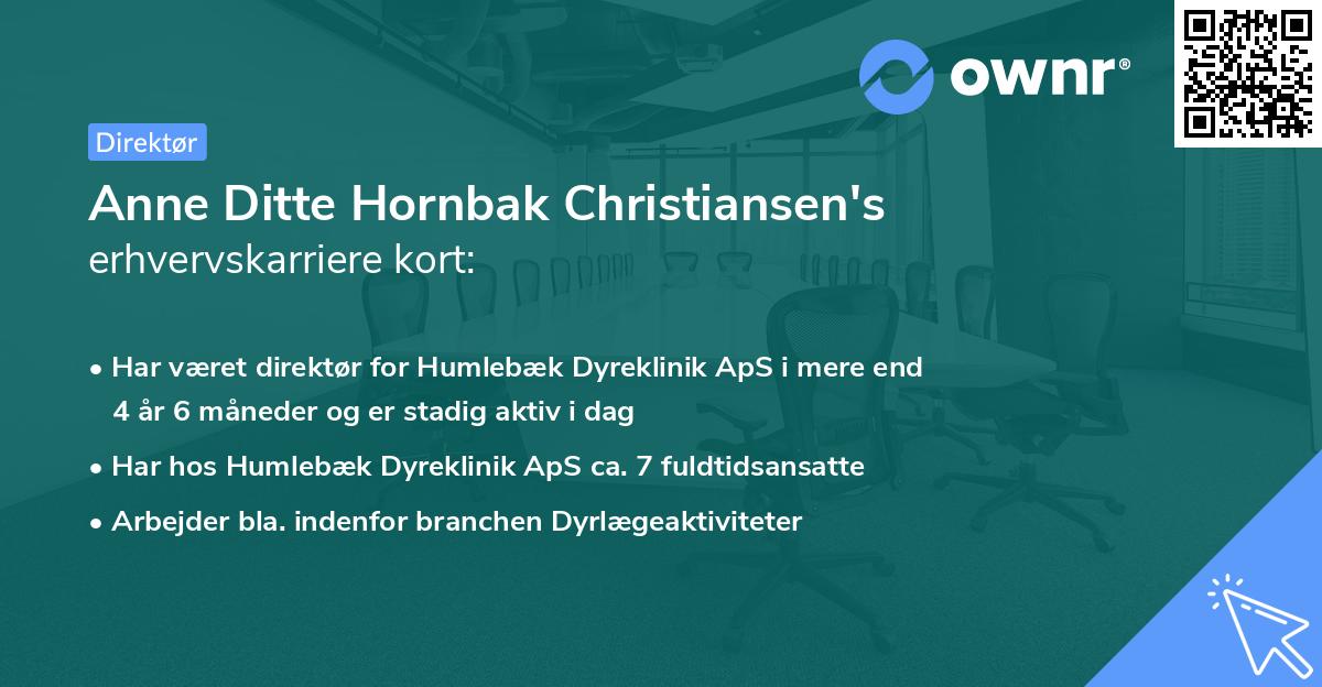 Anne Ditte Hornbak Christiansen's erhvervskarriere kort