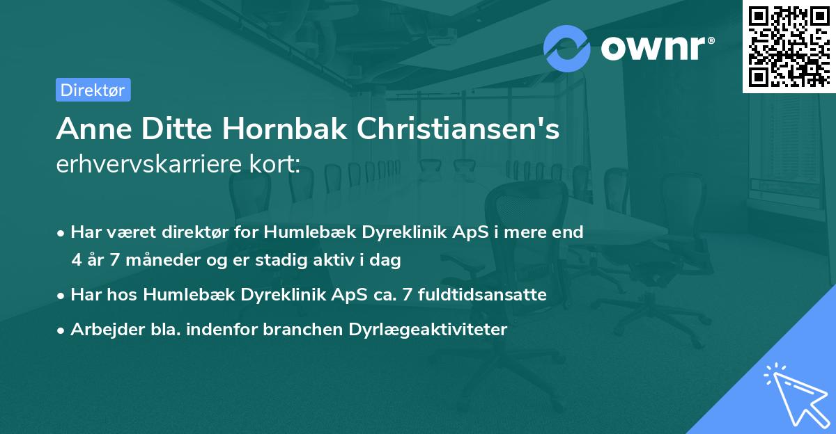 Anne Ditte Hornbak Christiansen's erhvervskarriere kort
