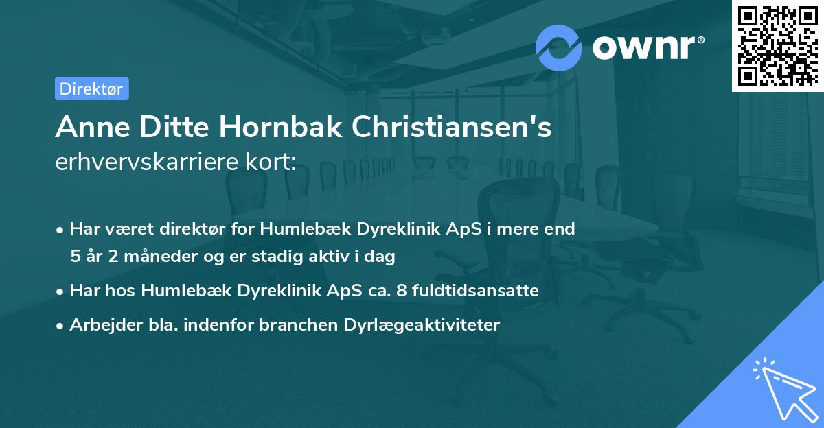Anne Ditte Hornbak Christiansen's erhvervskarriere kort