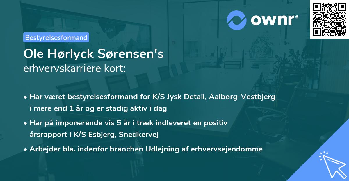Ole Hørlyck Sørensen's erhvervskarriere kort