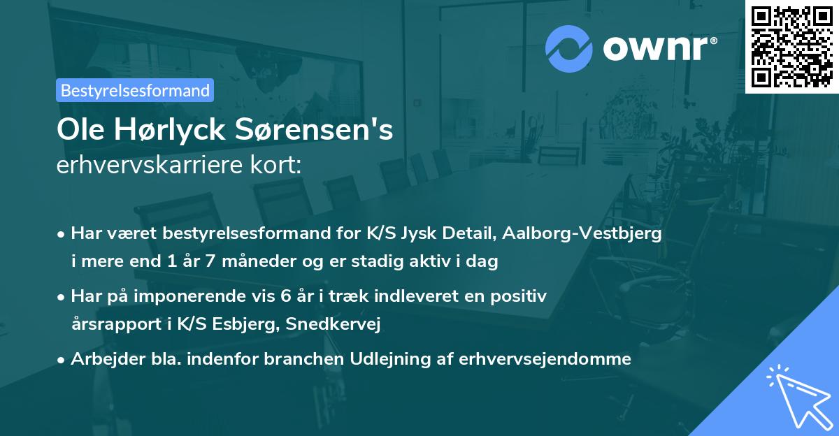 Ole Hørlyck Sørensen's erhvervskarriere kort