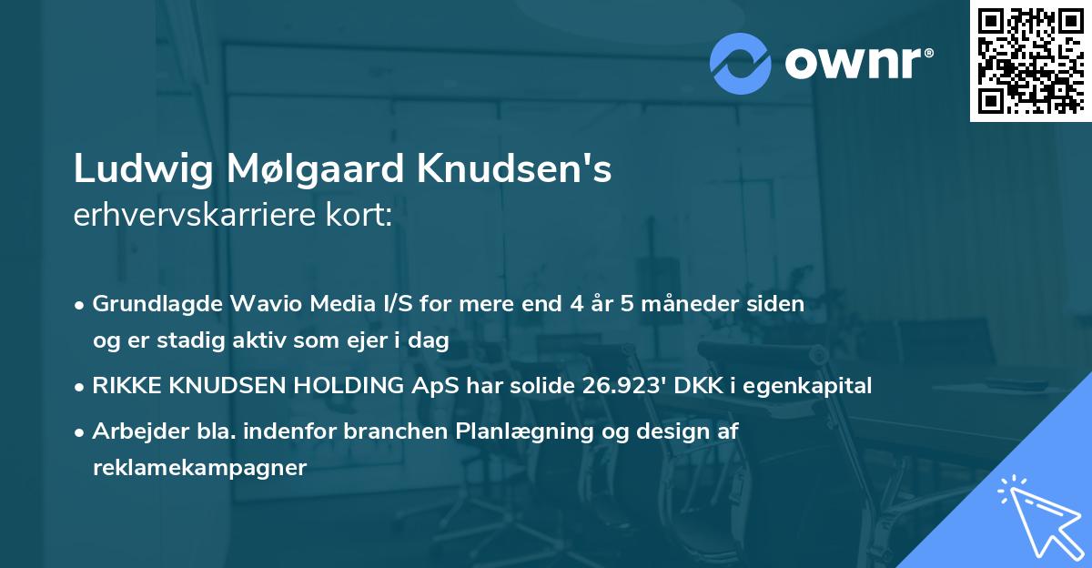 Ludwig Mølgaard Knudsen's erhvervskarriere kort