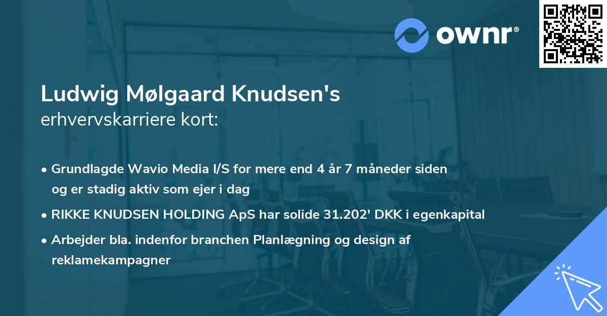 Ludwig Mølgaard Knudsen's erhvervskarriere kort