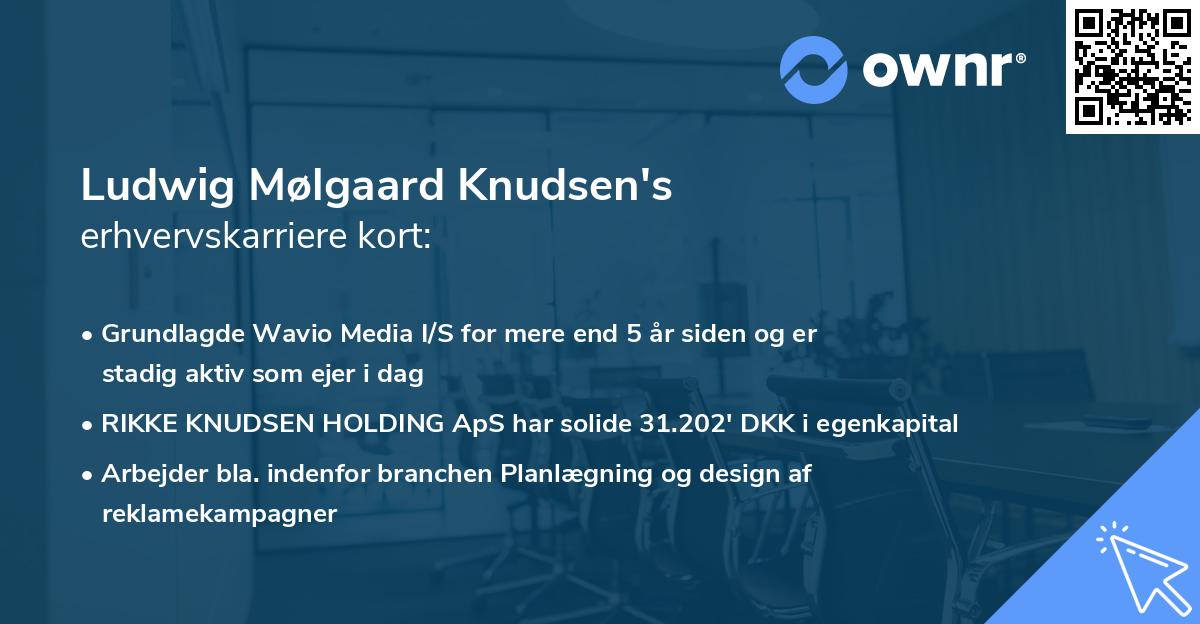 Ludwig Mølgaard Knudsen's erhvervskarriere kort