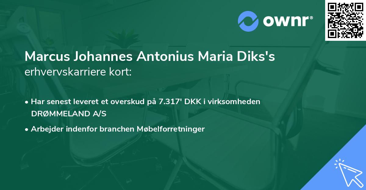 Marcus Johannes Antonius Maria Diks's erhvervskarriere kort