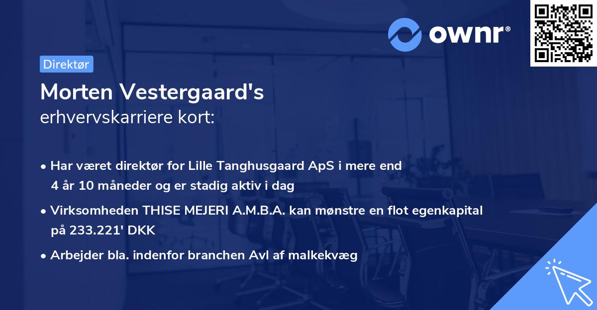 Morten Vestergaard's erhvervskarriere kort
