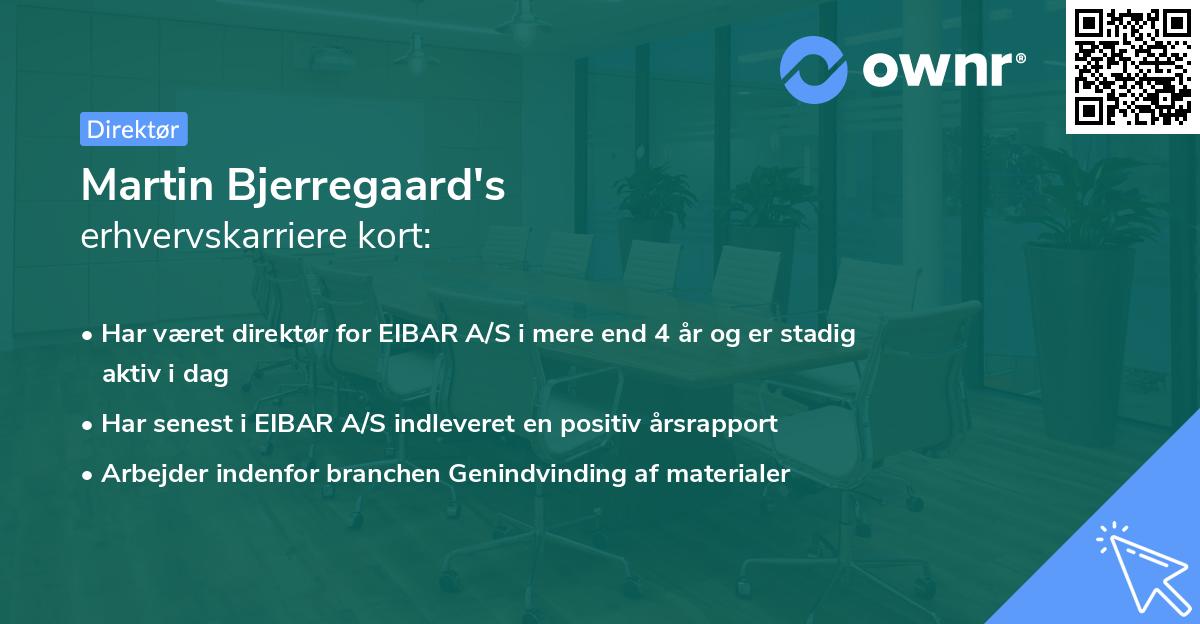 Martin Bjerregaard's erhvervskarriere kort
