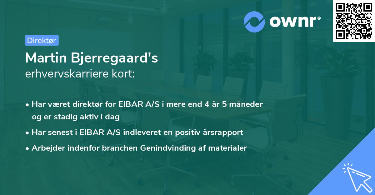 Martin Bjerregaard's erhvervskarriere kort