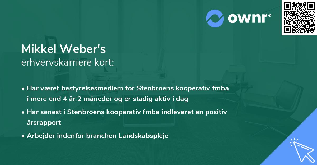 Mikkel Weber's erhvervskarriere kort