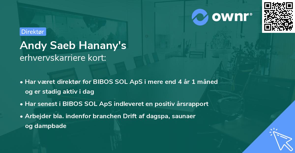 Andy Saeb Hanany's erhvervskarriere kort