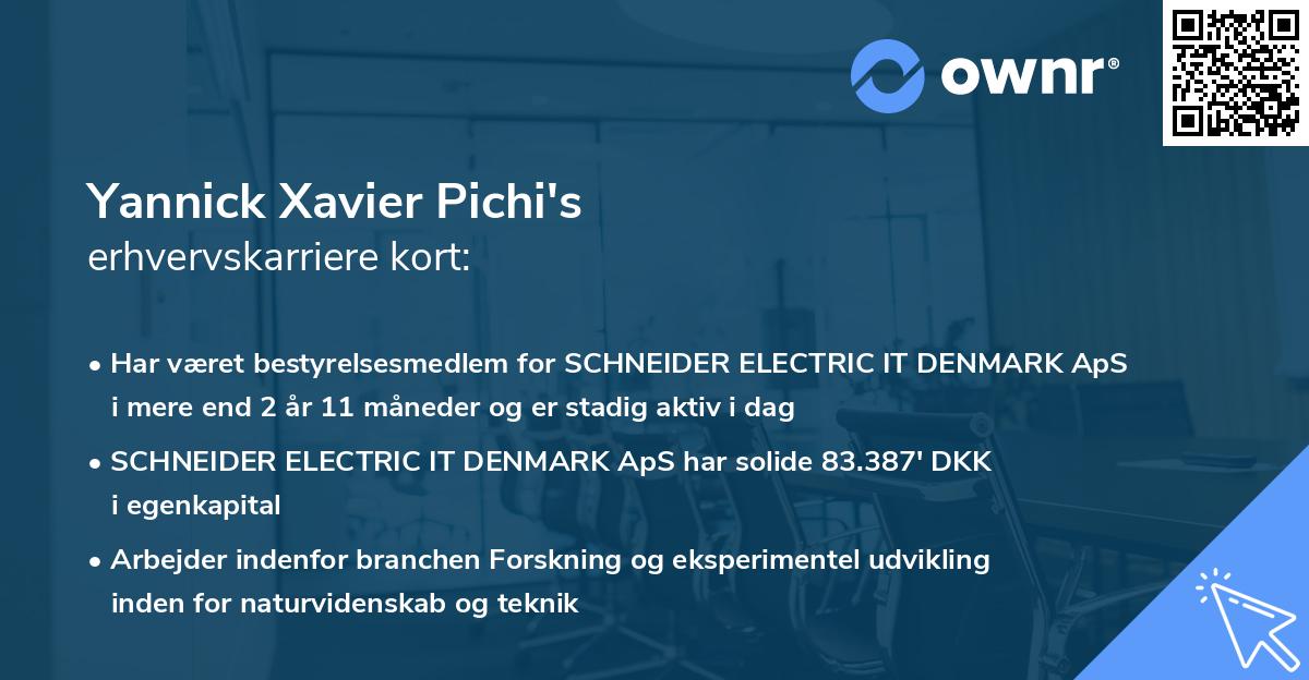 Yannick Xavier Pichi's erhvervskarriere kort