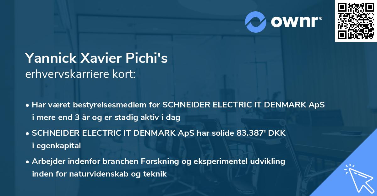 Yannick Xavier Pichi's erhvervskarriere kort