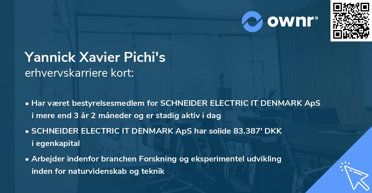 Yannick Xavier Pichi's erhvervskarriere kort