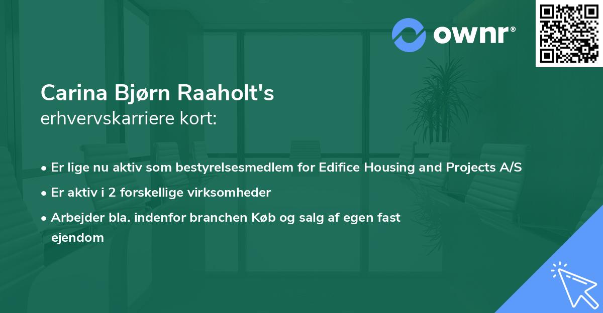 Carina Bjørn Raaholt's erhvervskarriere kort