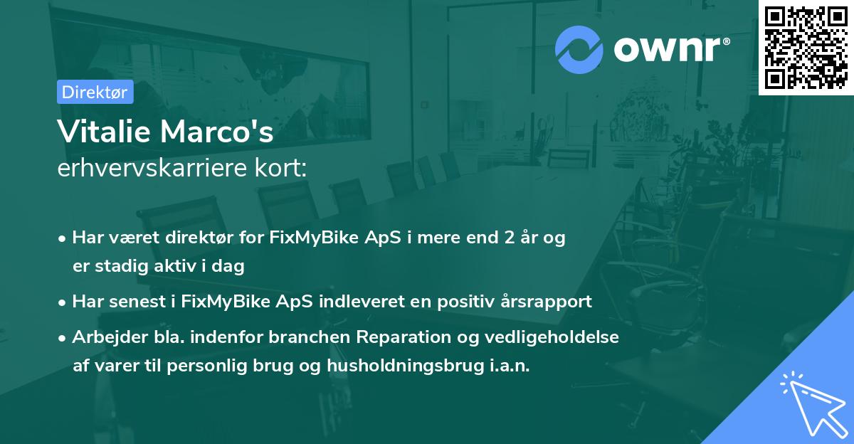 Vitalie Marco's erhvervskarriere kort