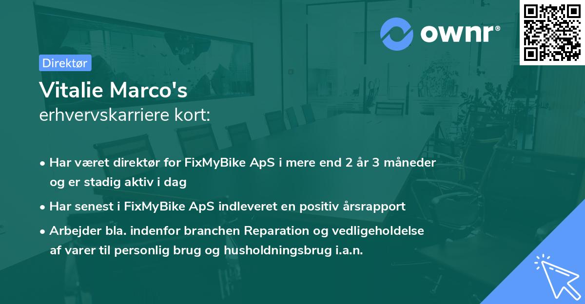 Vitalie Marco's erhvervskarriere kort