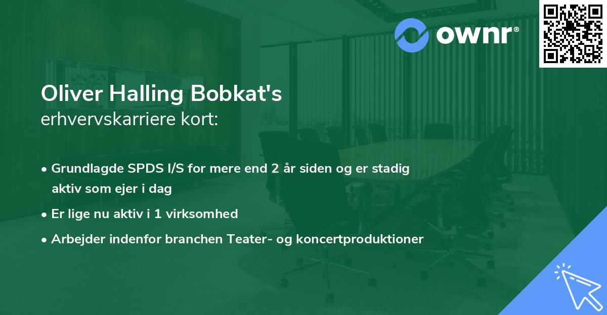 Oliver Halling Bobkat's erhvervskarriere kort