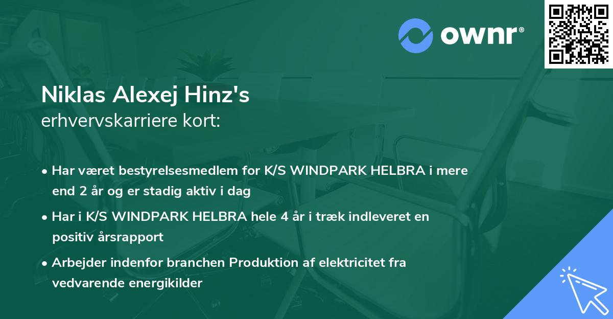Niklas Alexej Hinz's erhvervskarriere kort