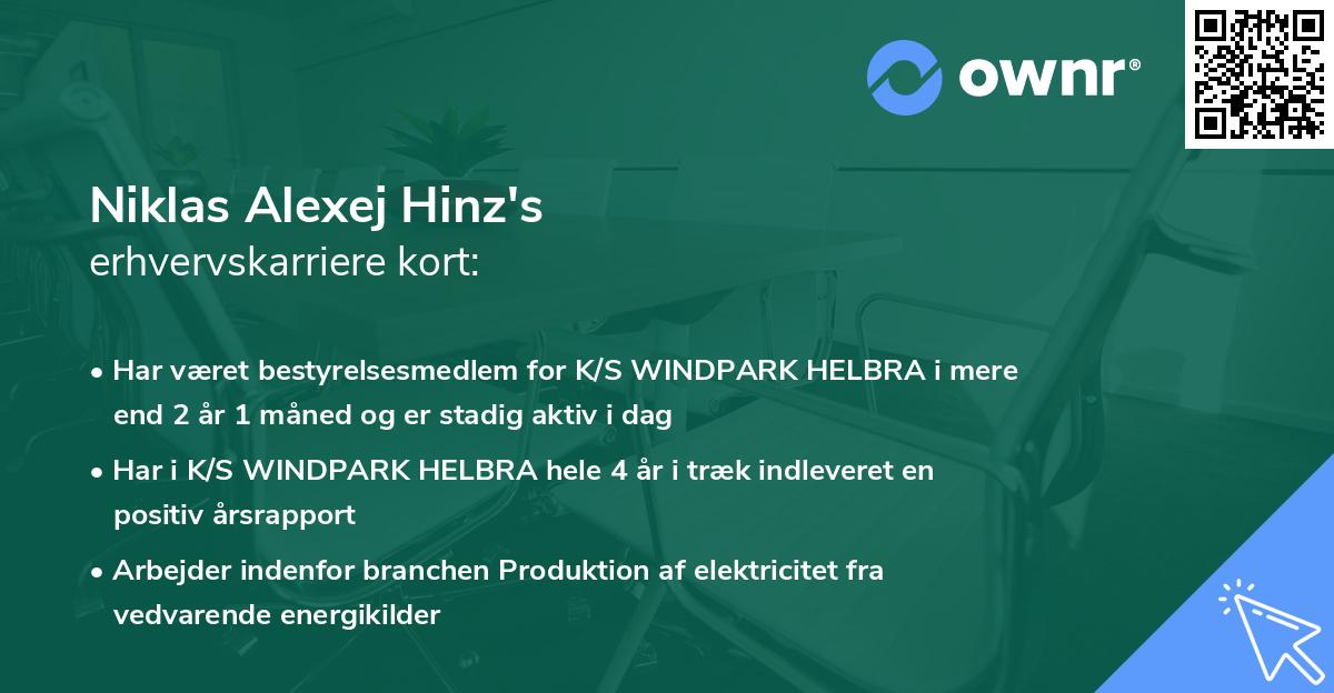 Niklas Alexej Hinz's erhvervskarriere kort