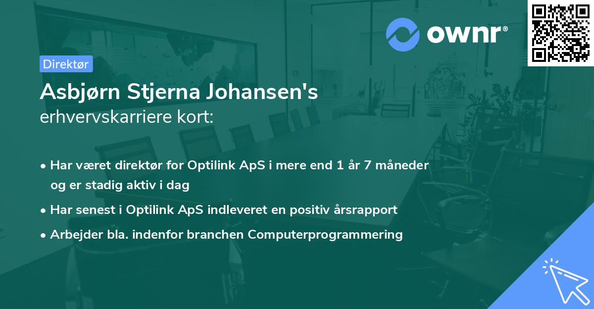 Asbjørn Stjerna Johansen's erhvervskarriere kort