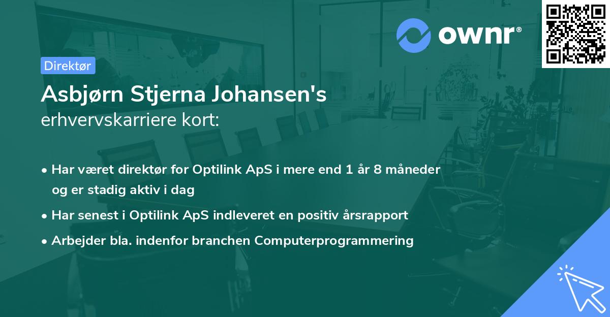 Asbjørn Stjerna Johansen's erhvervskarriere kort