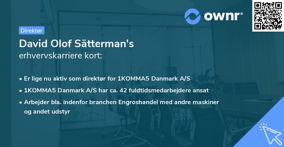 David Olof Sätterman's erhvervskarriere kort