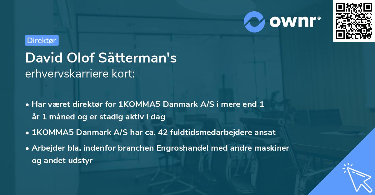 David Olof Sätterman's erhvervskarriere kort