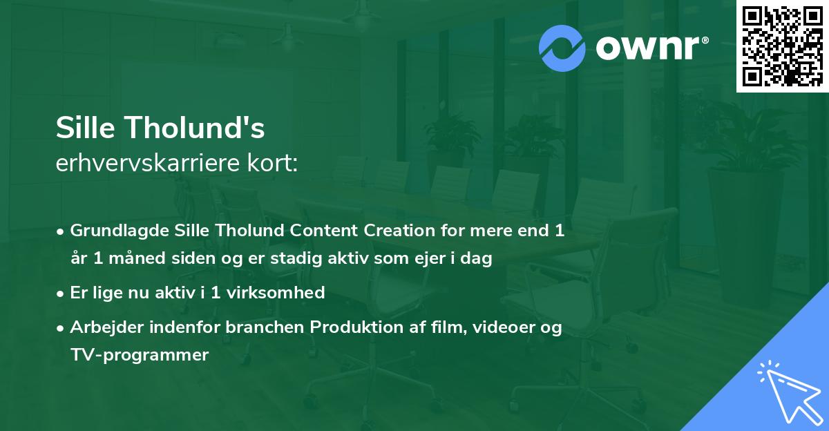 Sille Tholund's erhvervskarriere kort