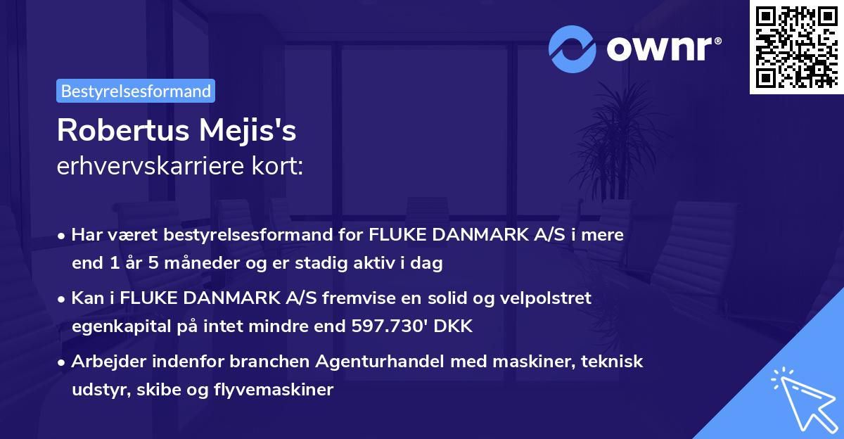 Robertus Mejis's erhvervskarriere kort