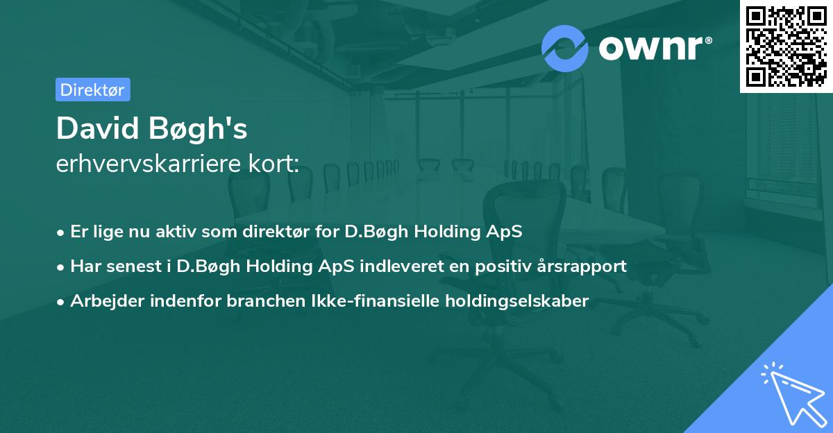 David Bøgh's erhvervskarriere kort