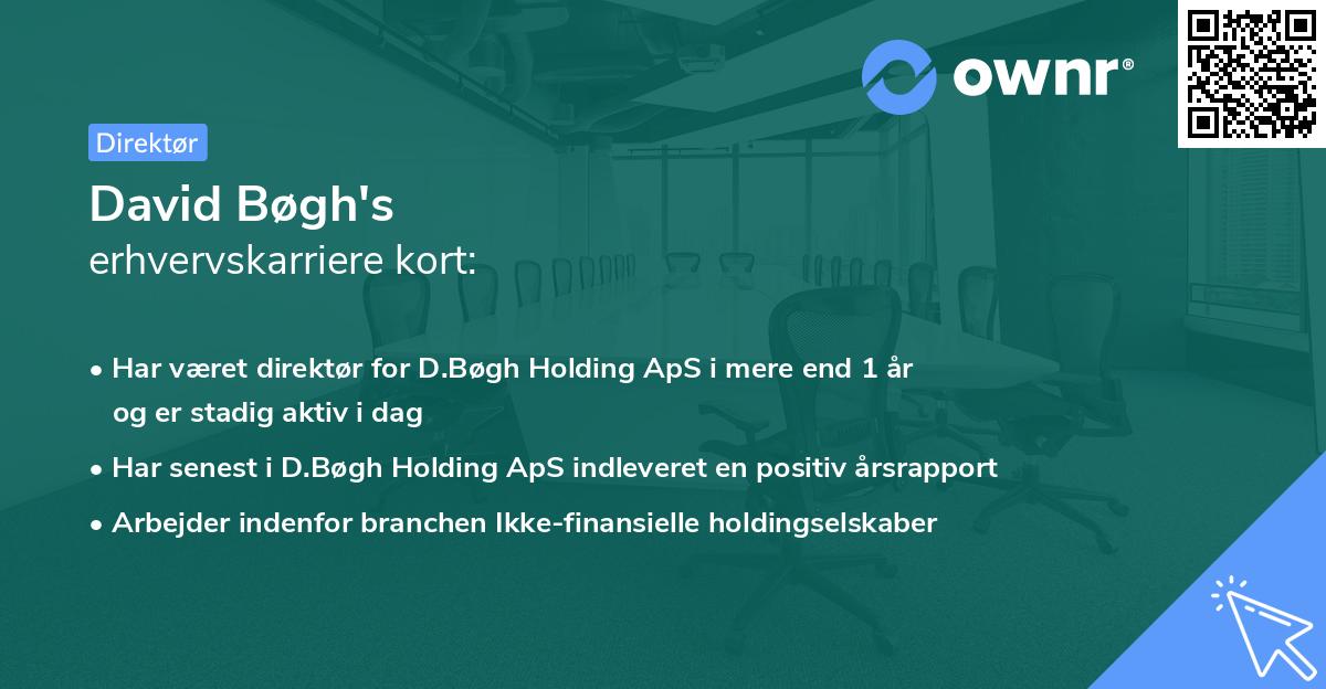 David Bøgh's erhvervskarriere kort