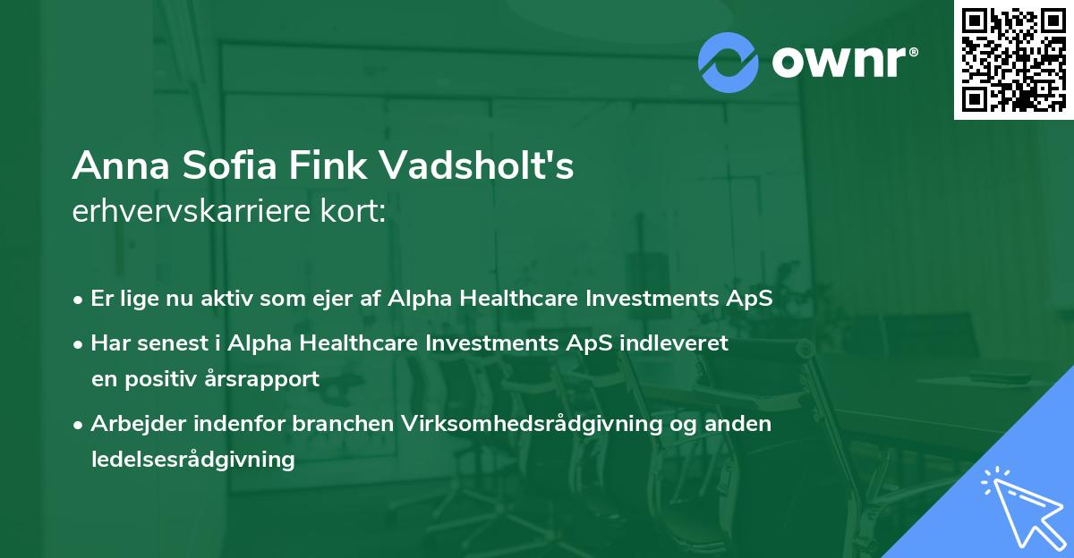 Anna Sofia Fink Vadsholt's erhvervskarriere kort