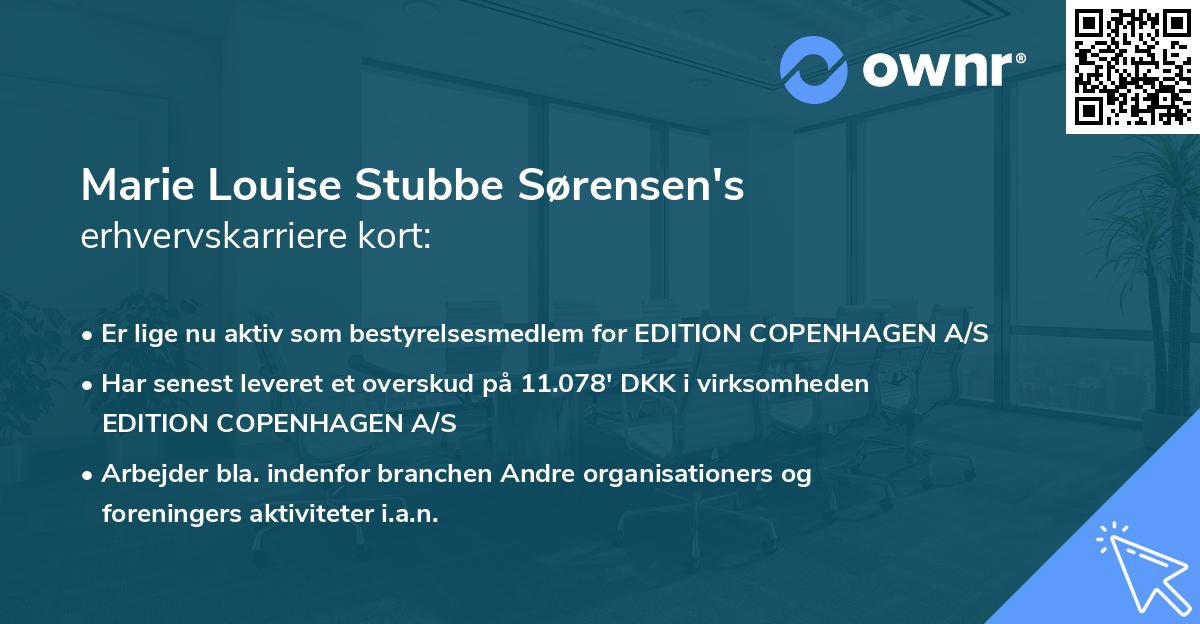 Marie Louise Stubbe Sørensen's erhvervskarriere kort