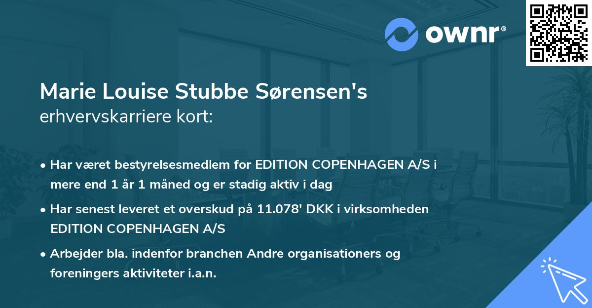Marie Louise Stubbe Sørensen's erhvervskarriere kort