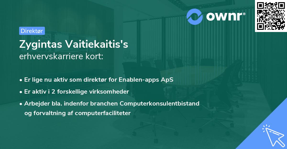 Zygintas Vaitiekaitis's erhvervskarriere kort