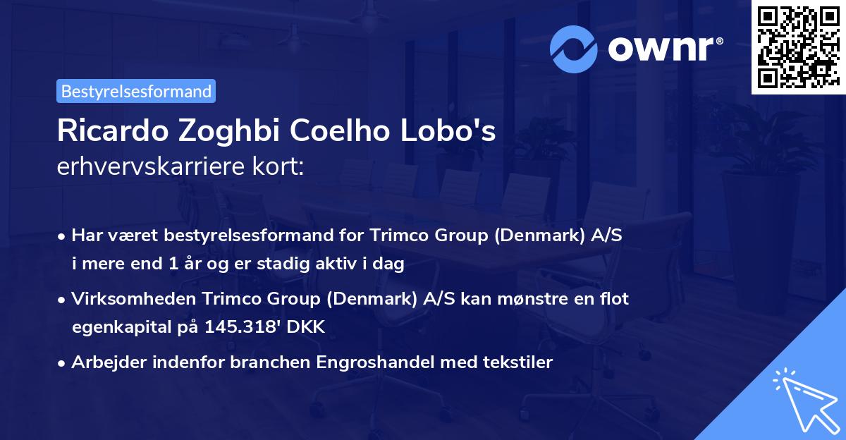 Ricardo Zoghbi Coelho Lobo's erhvervskarriere kort